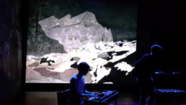 Irene Themann — Portfolio