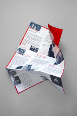 Irene Themann — Portfolio