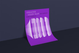 Irene Themann — Portfolio