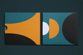 Irene Themann — Portfolio