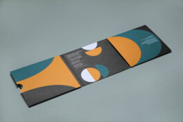 Irene Themann — Portfolio