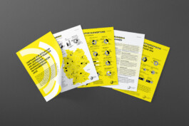 Irene Themann — Portfolio